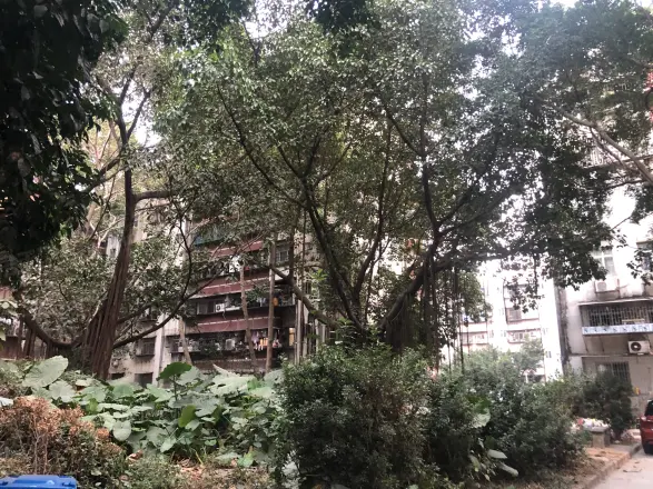 一致春晓苑