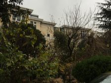 联排边套+大花园+好位置+带车库和露台