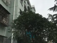 万辉旁,非顶楼,业主诚售,看房方便