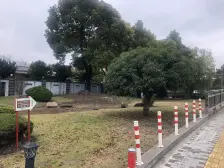采光好 入住快 无抵押,新上房源