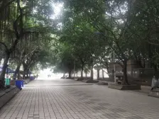 弹子石 紫光学苑四房115万