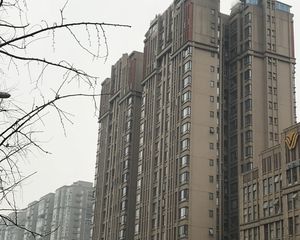 华润银杏华庭 3室2厅 南