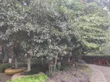 山水国际正规一室一厅 居家安静