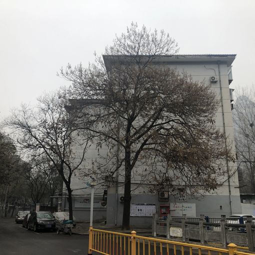 二环东路单位宿舍2室2厅1卫南北朝向2980.00元/月出租