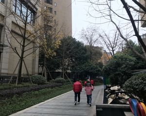 龙湖北城天街二期1室0厅南