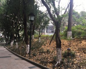 沙河丽景1室1厅东