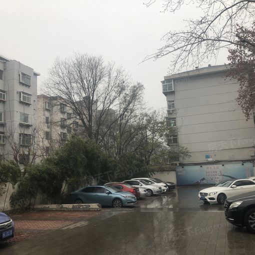 ¶þ»·¶«Â·µ¥Î»ËÞÉá3ÊÒ2Ìü2ÎÀ¶«Äϱ±³¯Ïò4200.00Ôª/Ô³ö