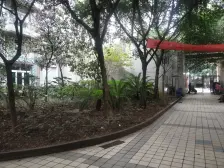 弹子石 紫光学苑二房79万