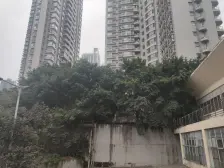 板式洋房,房屋通透,居家安静,诚心出售