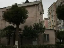 九亭明珠苑(别墅) 4室2厅 南