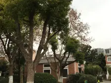 九亭明珠苑(别墅) 4室2厅 南