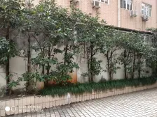 瑞虹商圈新上复式3房,看房随时,高区景观视野好