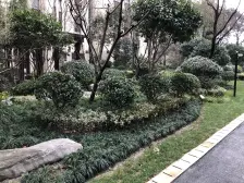 无抵押 拎包入住,通风好 必看好房