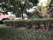 一楼带个大院子您可以种花,种菜,养鱼,休闲的生活多美好呀