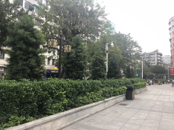 惠福西路大院