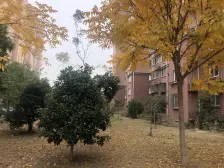 小区前排 中间楼层 视野好 毛坯一手 近万达