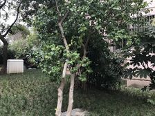 近地铁产权清晰,刚需上车,通风好,新上房源