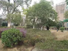 艾溪湖湿地公园稀缺洋房,品质小区,交通便利凯美怡和旁