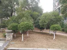 丰源天域一二期,艾溪湖旁,近地铁,天虹户型方正