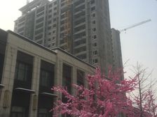 封闭小区..人文素质好..户型好...........