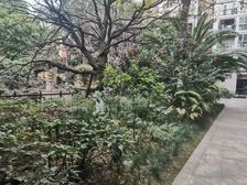 美丽南庭 3室2厅 东 西