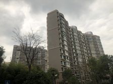 23号地铁口,凤凰楼层,有车位,南向双阳台