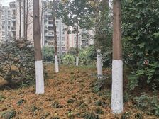 御府花都 3室1厅 北