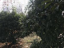 黄金时代好楼层精装梅陇湖边交通便利