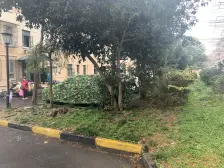 小区美丽家园改造已完成,电梯加装好了刷卡到户电梯房