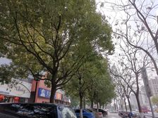 万科金色水岸二期 精装 看中庭 中间楼层 视野好