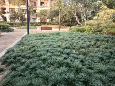 宝华盛世花园3室南朝向235.00万元/套出售