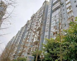 南新逸苑1室1厅南北