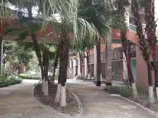 海德堡 格局方正两房 通风采光好