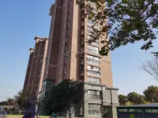 洞泾双轨交9+12 洞外 一手动迁 诚意出