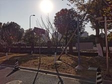 泗泾·庄泾苑·3室·2厅