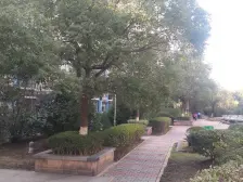 户型方正 格局合理 动静分离 日照时间长 采光充足