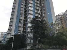 北滨路 金科金砂水岸四房343.5万