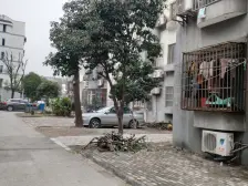 石湖东路地铁口,碧波花园,中上楼层,采光好,有独库