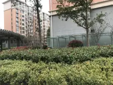 电梯房,大开间,环境优美,居家装修,诚意出售