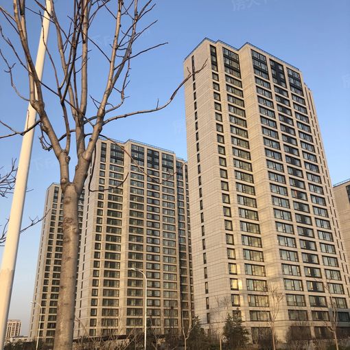 融创红岛壹号院5室2厅5卫东南北朝向5500.00元/月出租