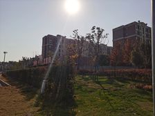 中间楼层三居室看房方便诚意出售