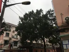 低总价2房 南北通风好 低层满五年 业主诚意出售