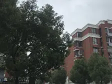 天汇佳园 2室1厅 南 北