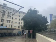 此房满五为一,高区视线阳光好,房东诚意出售