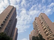 近地铁电梯房,中间楼层,必看好房