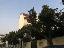 博物馆拙政园旁,一二楼叠加别墅带50平花园,位置佳彩光好。