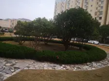 清水毛坯装修,M5V1,采光视野好复试房 南北通透