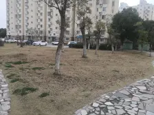 清水毛坯装修,M5V1,采光视野好复试房 南北通透