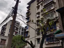 石坪桥 志龙石坪苑一房20万