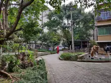 石坪桥横街特6号 2室1厅 南